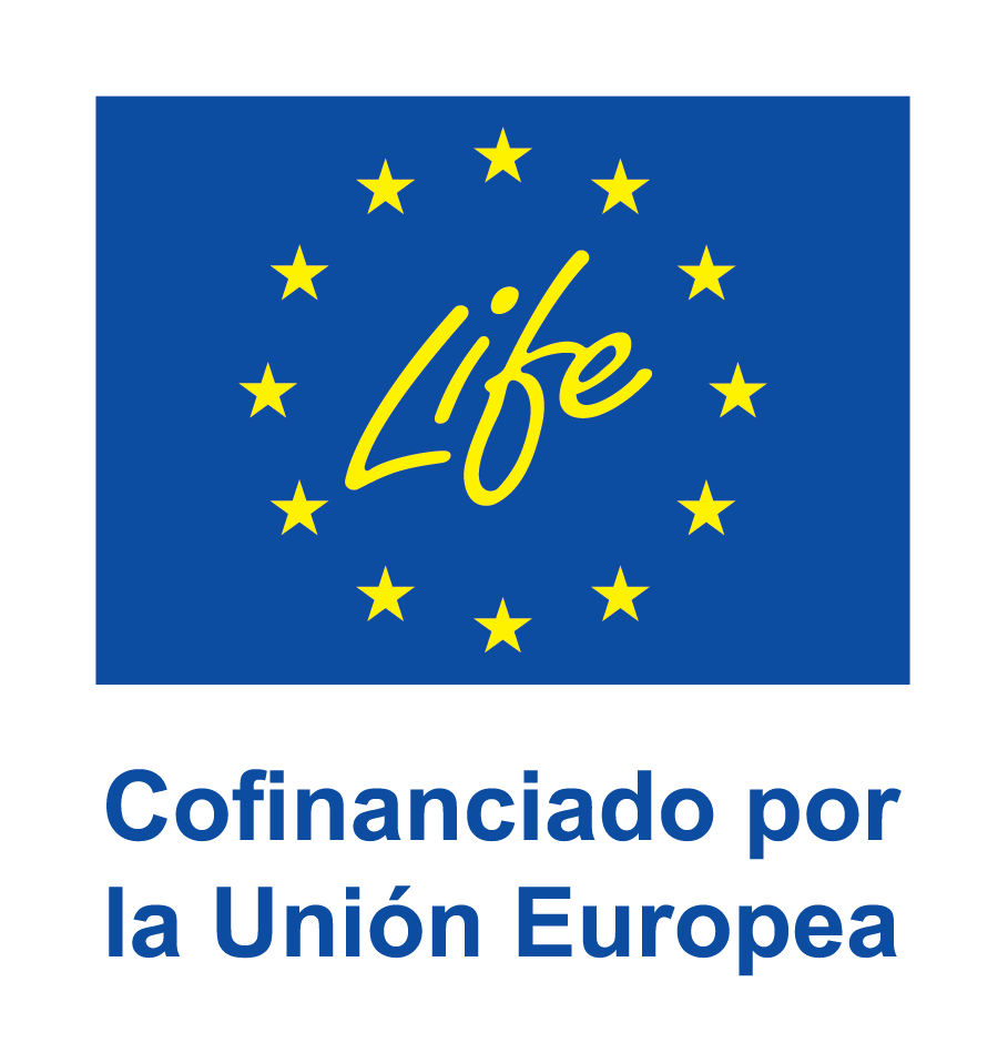 ES_V_Cofinanciado_por_la_Unio&brvbar;un_Europea_POS.png