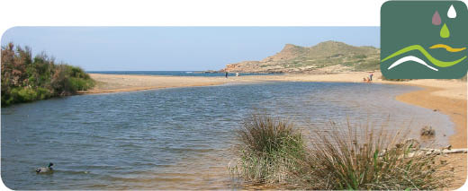 Medio y recursos h&iacute;dricos