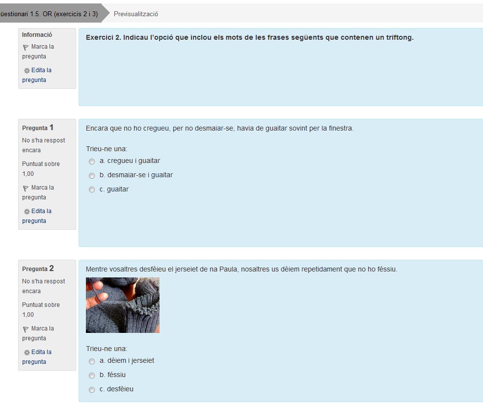 Exemple q&uuml;estionari B2.jpg