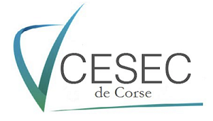 CESEC_Cor.png