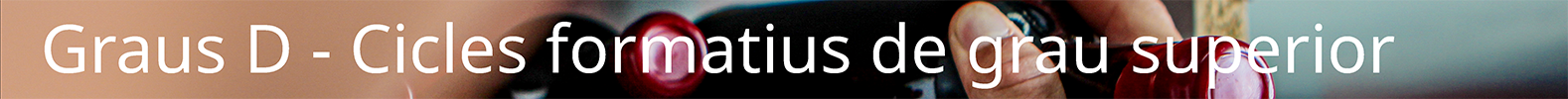 Graus D - Cicles formatius de grau superior