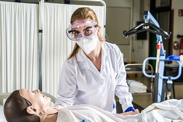 Graus D - Cicles formatius de grau b&agrave;sic