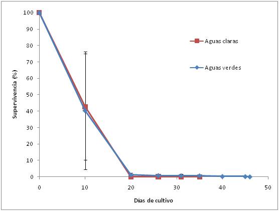 Taxa de superviv&egrave;ncia de les paralarves de pop cultivades en condicions d'aig&uuml;e verds o clares al llarg de l'experiment. Mitjanes &plusmn; S.D. (n=3).