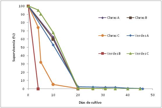 Taxa de superviv&egrave;ncia de cada un dels tancs de cultiu per separat: tres d'aig&uuml;es clares i tres d'aig&uuml;es verds.