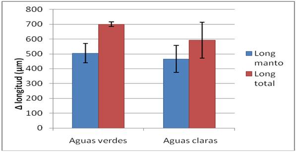 Increment de longitud del mant i longitud total respect de la talla inicial en las paralarves criades en aig&uuml;es verds i en aig&uuml;e clares.