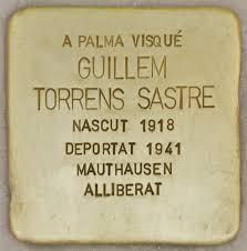 Guillem Torrens Sastre