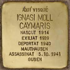 Ignasi Moll Caymaris