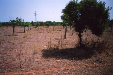 Fosa  del pozo de Son Bauló