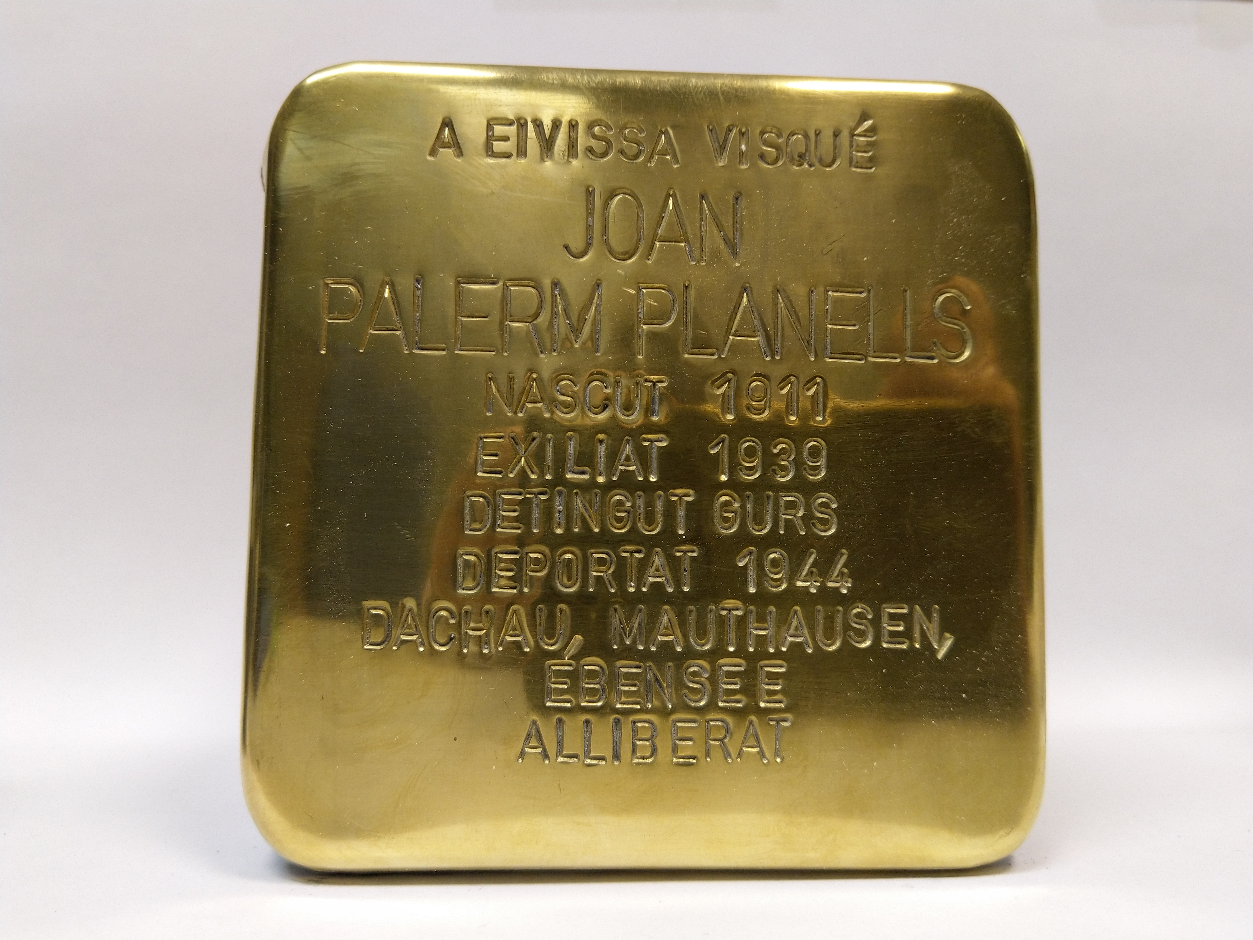 Joan Palerm Planells