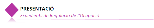 Presentaci&oacute;_Expedients de Regulaci&oacute; de l'Ocupaci&oacute;