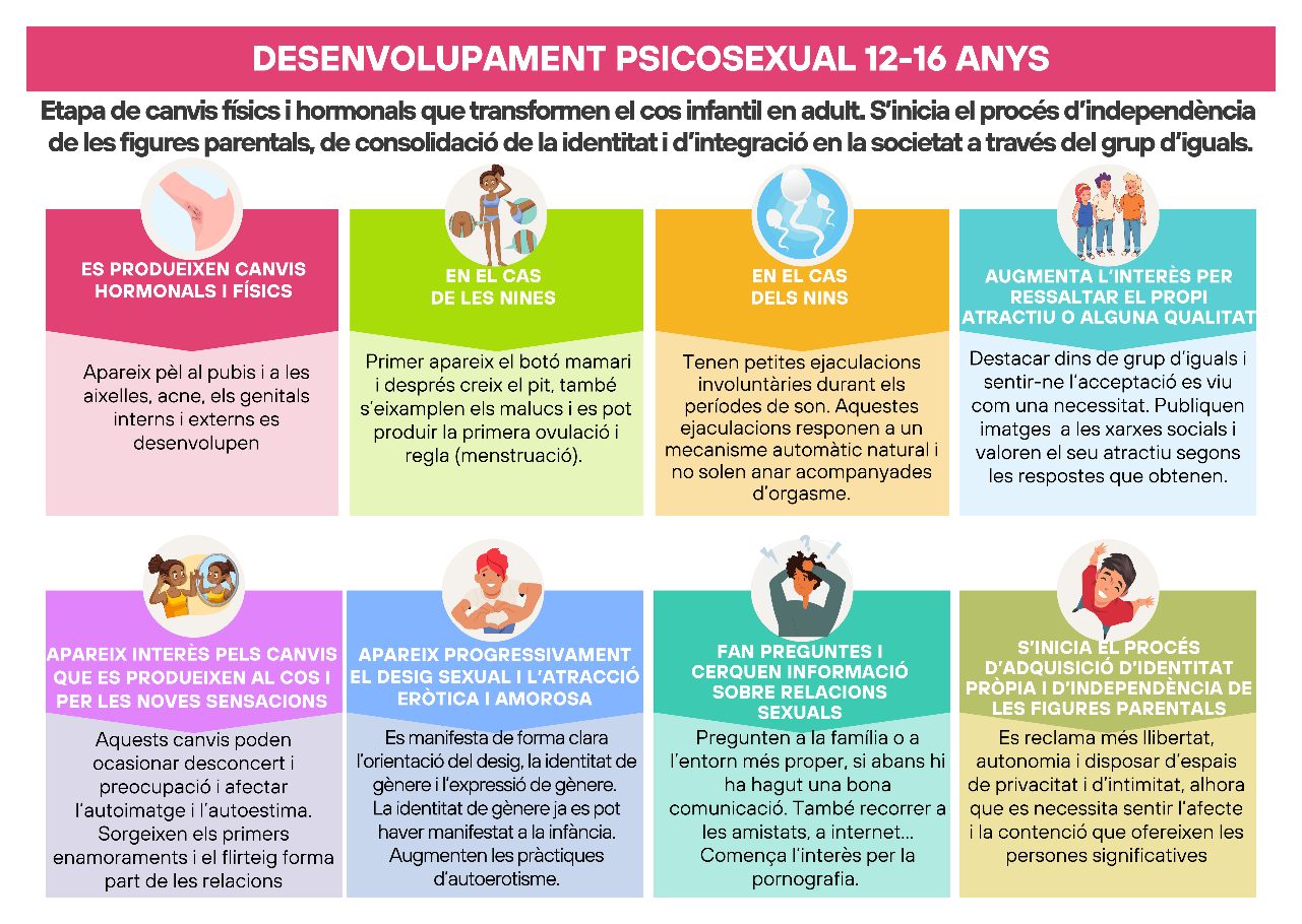 Infografia sobre el desenvolupament psicosexual entre els 12-16 anys