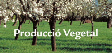 Produccio vegetal 2512073ca