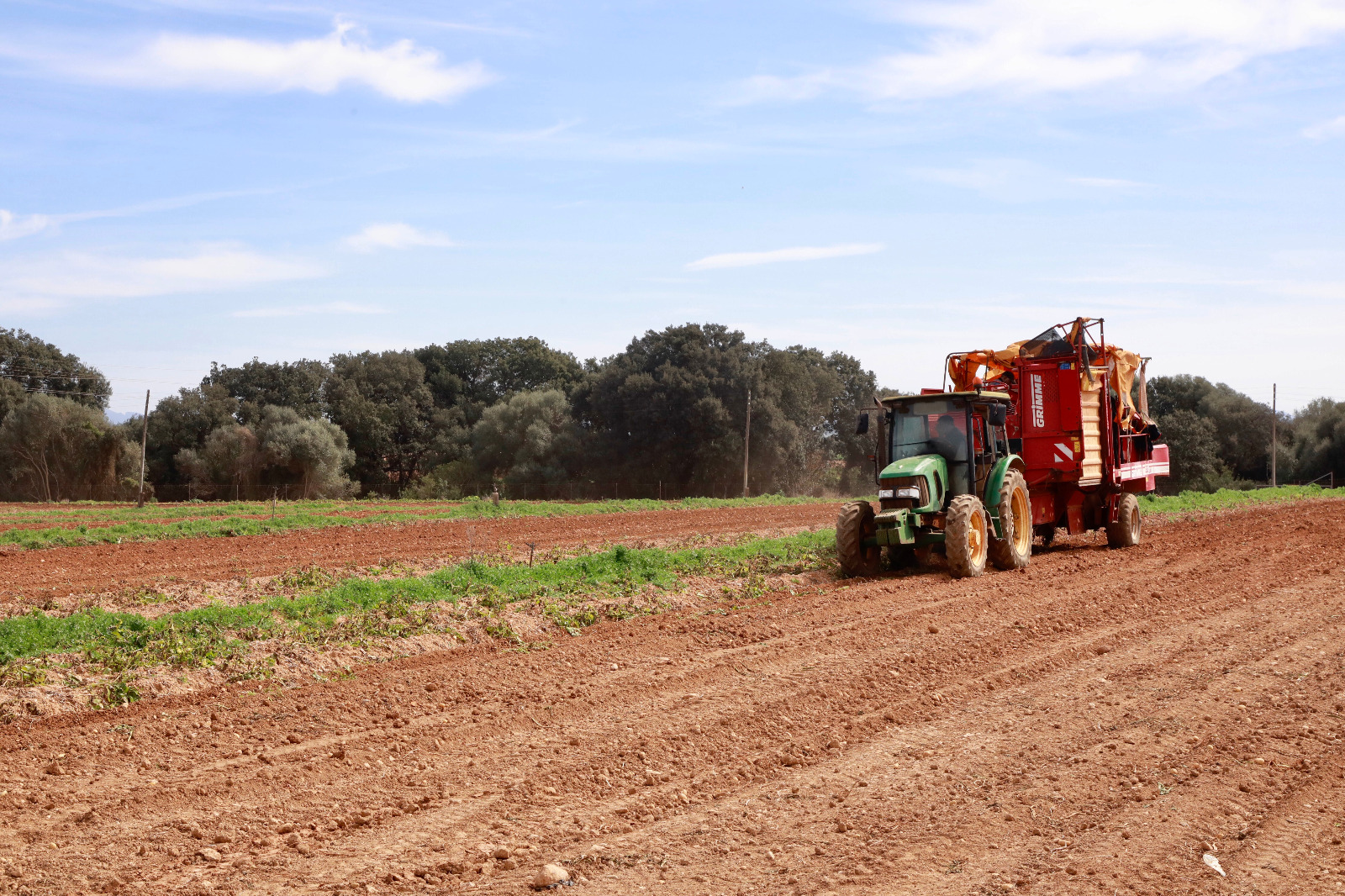 Un tractor, en un planter de patates